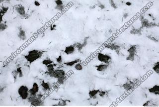 Photo Texture of Snow 0003